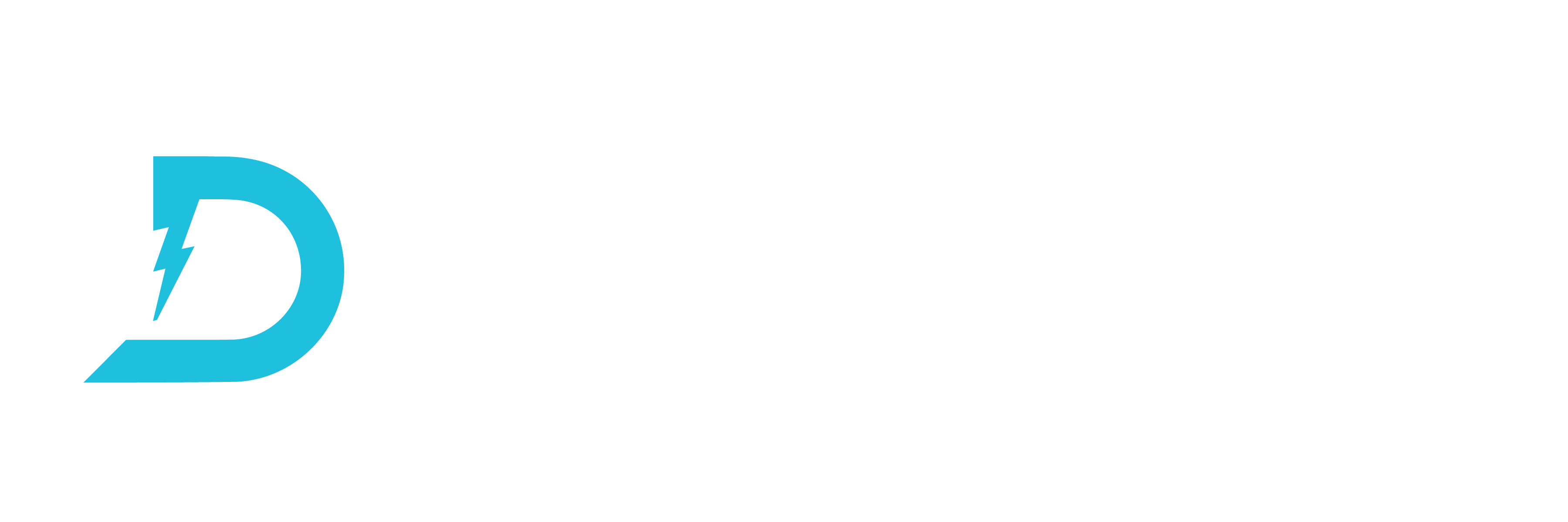 datamation primary logo
